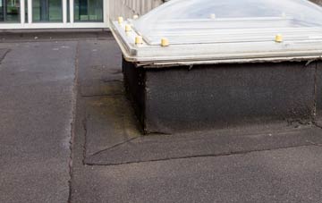disadvantages of Sherrardspark flat roofs
